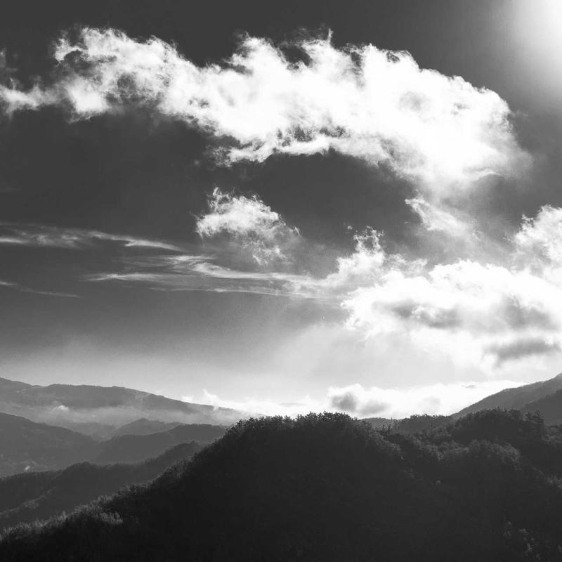 سم علف‌کش توفوردی (2-4-D)