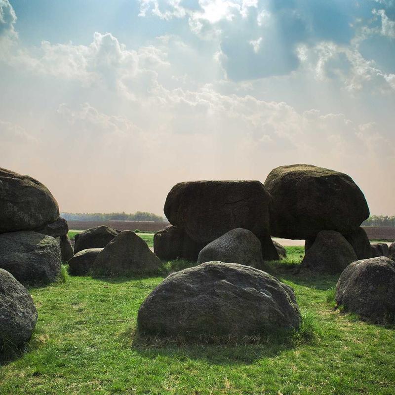 سم قارچکش مانکوزب