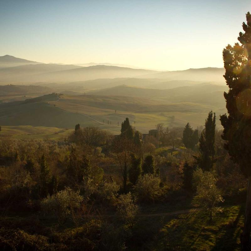 کود آهن کلاته 6 درصد