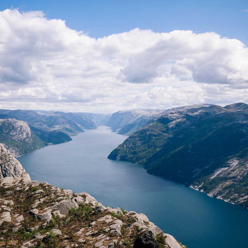 سم علفکش گلایفوسیت (راندآپ)